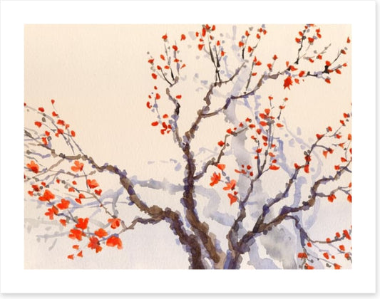 Red budding tree