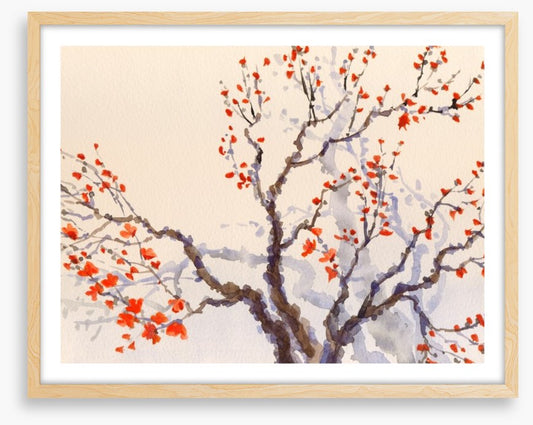 Red budding tree