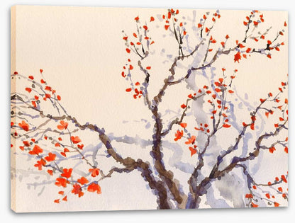 Red budding tree