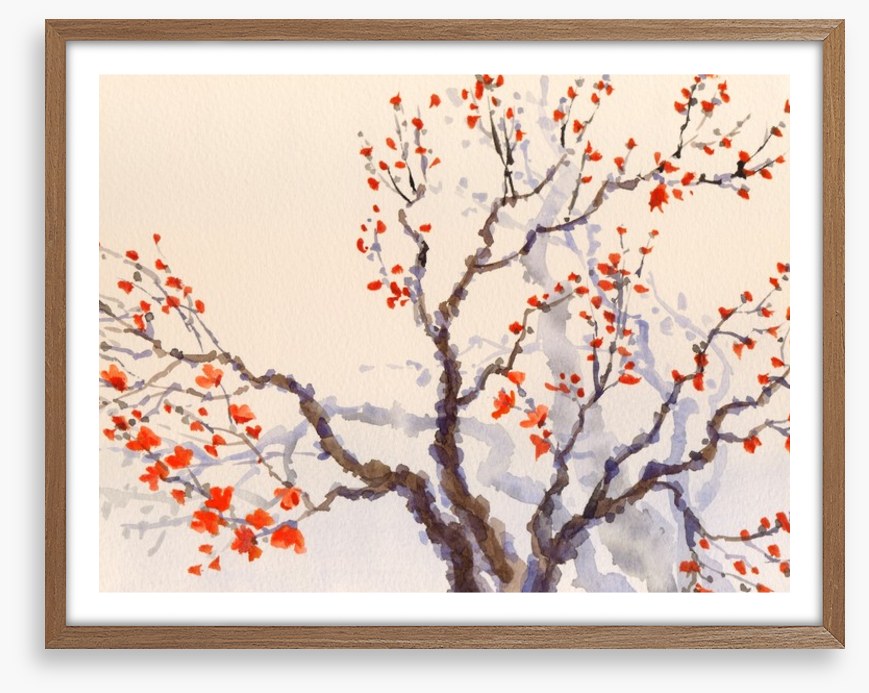 Red budding tree