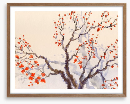 Red budding tree