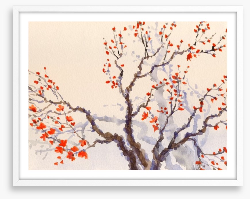 Red budding tree