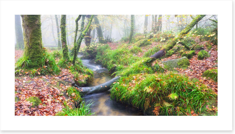 Bridged by nature