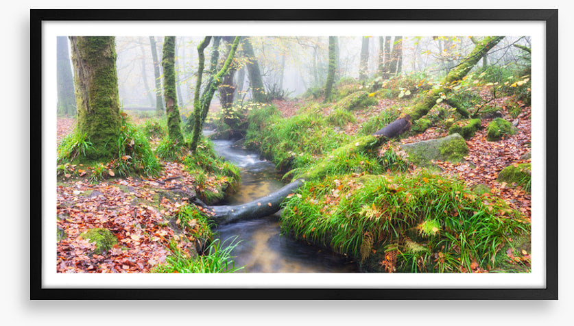 Bridged by nature