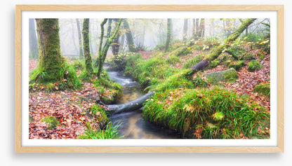 Bridged by nature