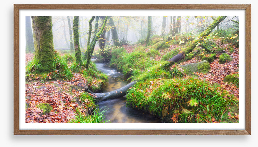 Bridged by nature