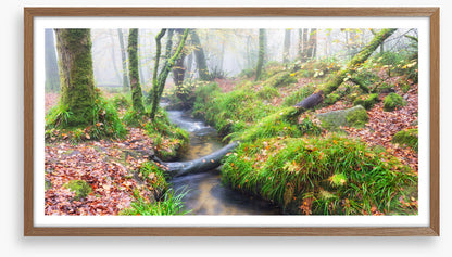 Bridged by nature