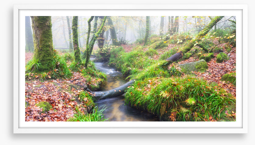 Bridged by nature