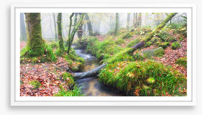 Bridged by nature