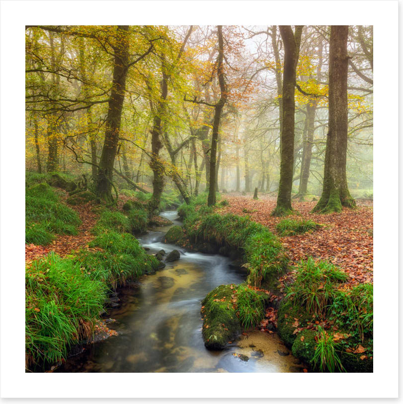 The wandering stream