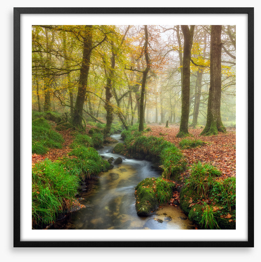 The wandering stream