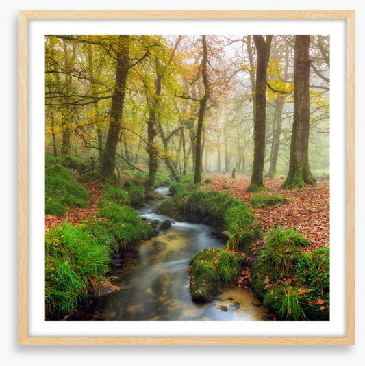The wandering stream
