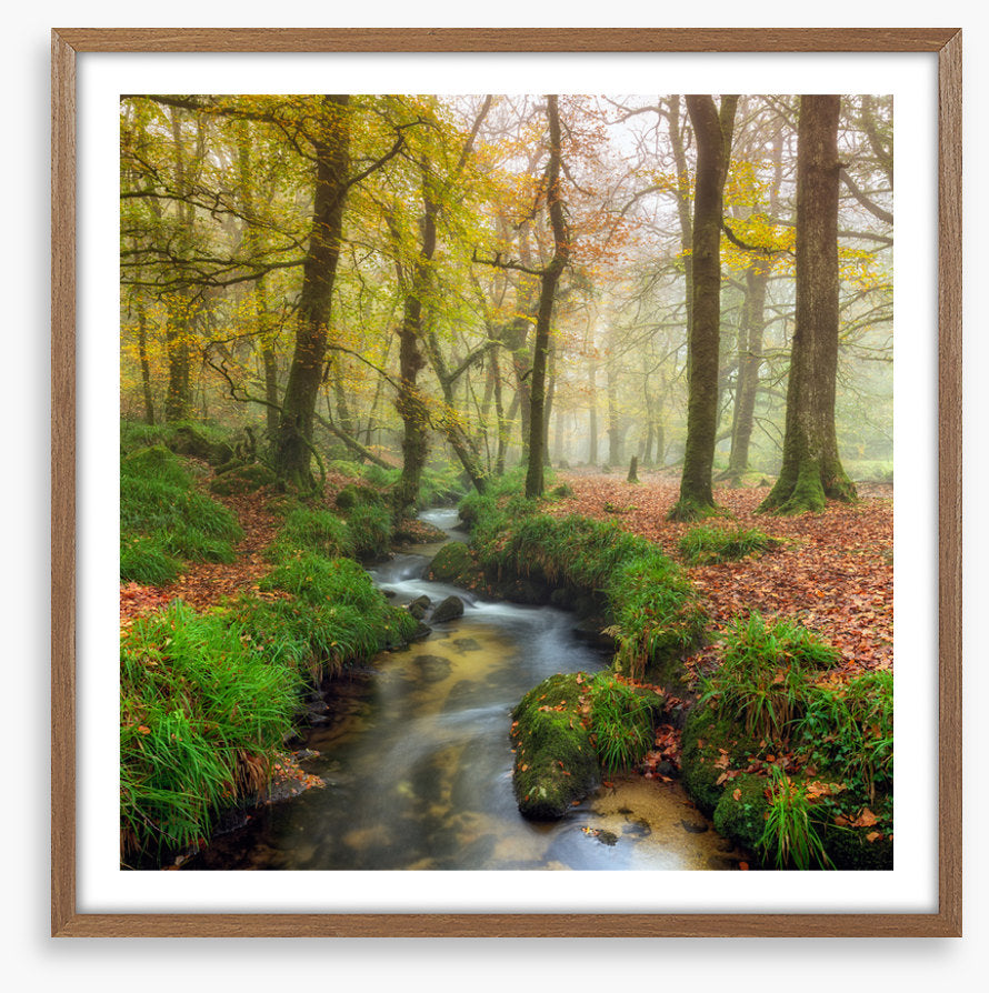 The wandering stream