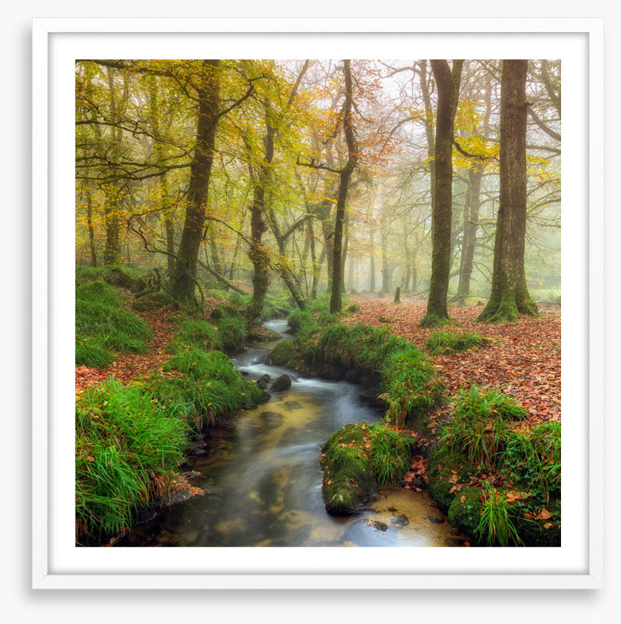 The wandering stream
