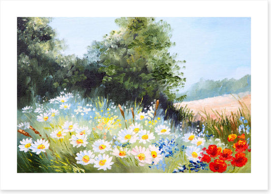 Daisy season