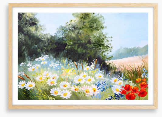 Daisy season