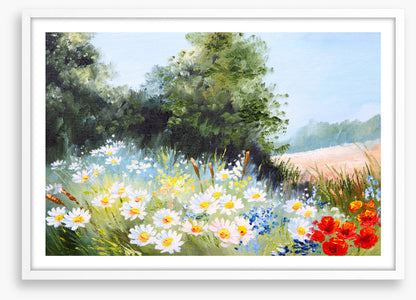 Daisy season