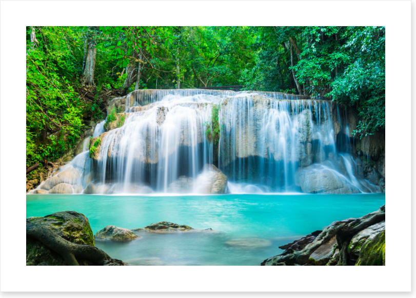 Falls in the forest