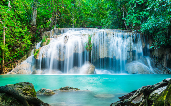 Falls in the forest