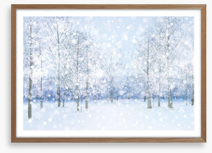 Soft snow falling