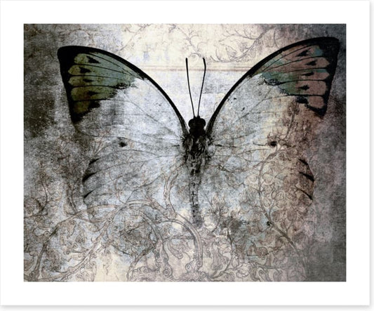Vintage monarch butterfly