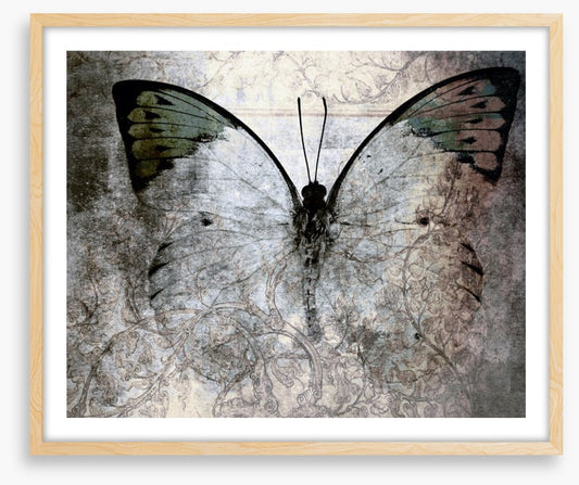 Vintage monarch butterfly