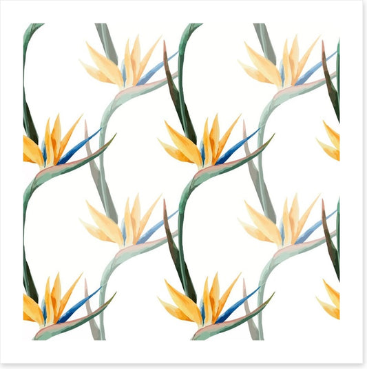 Birds of paradise
