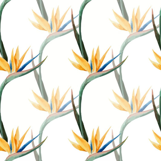 Birds of paradise