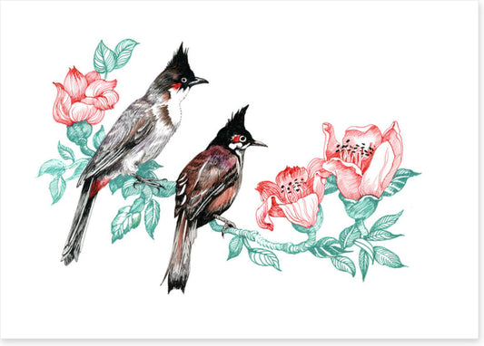 Birds
