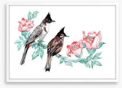 Birds