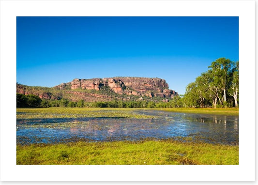 Anbangbang Billabong