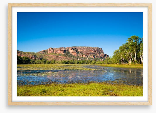 Anbangbang Billabong