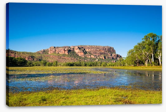 Anbangbang Billabong