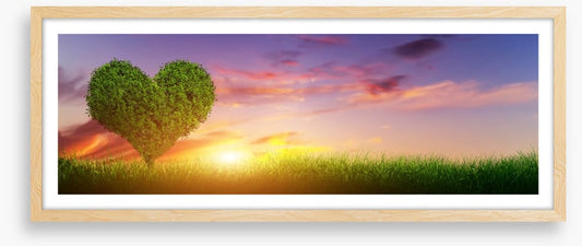 Love heart tree panorama