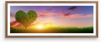 Love heart tree panorama