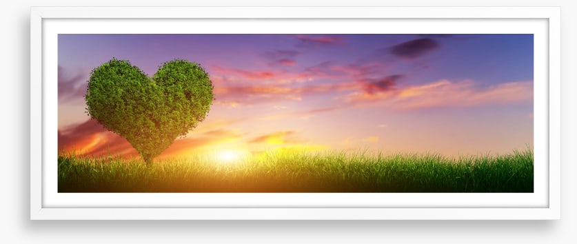 Love heart tree panorama