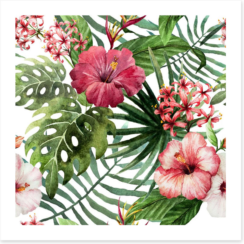 Pink hibiscus leaves