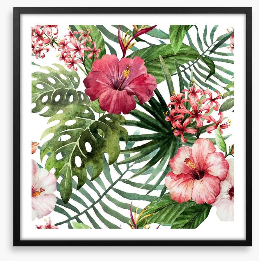 Pink hibiscus leaves