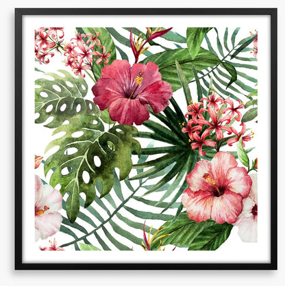 Pink hibiscus leaves
