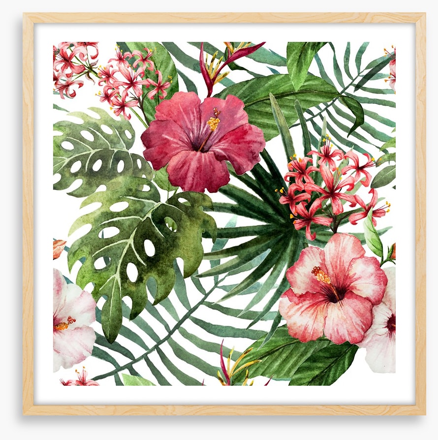 Pink hibiscus leaves