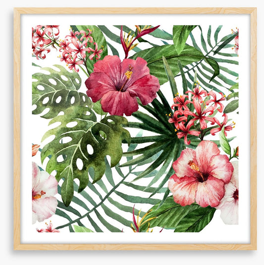 Pink hibiscus leaves