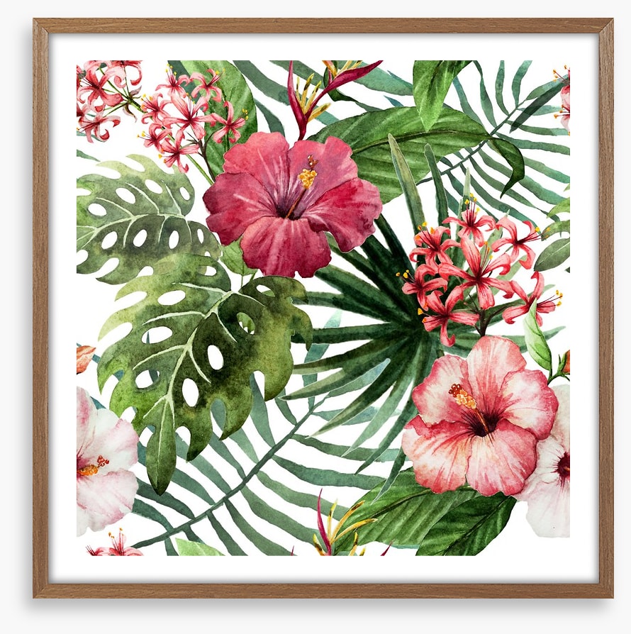 Pink hibiscus leaves