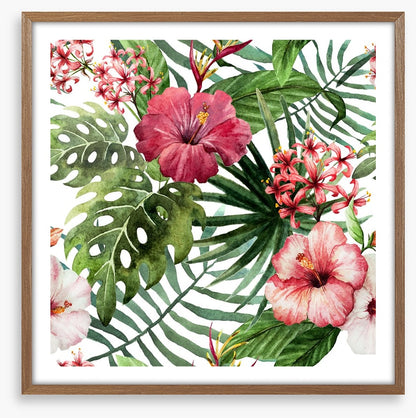 Pink hibiscus leaves