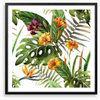 Tropical orchid leaves