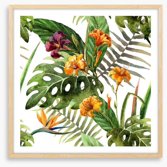 Tropical orchid leaves