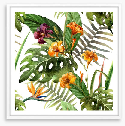 Tropical orchid leaves