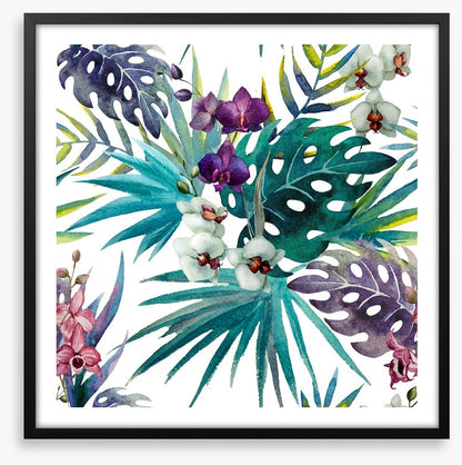 Orchid hibiscus leaves