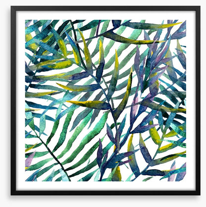 Tropical fronds