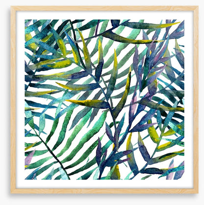 Tropical fronds