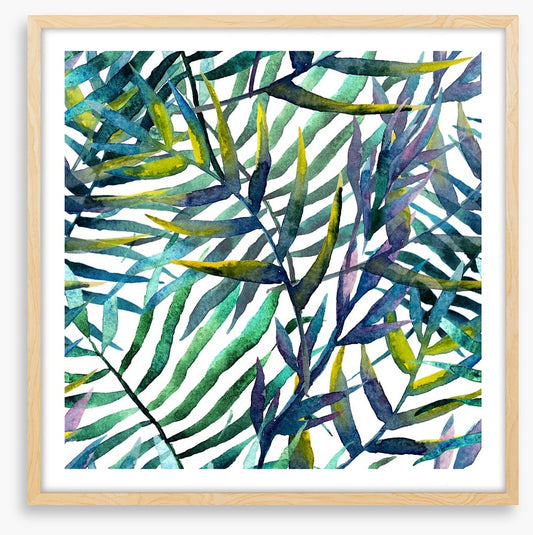 Tropical fronds